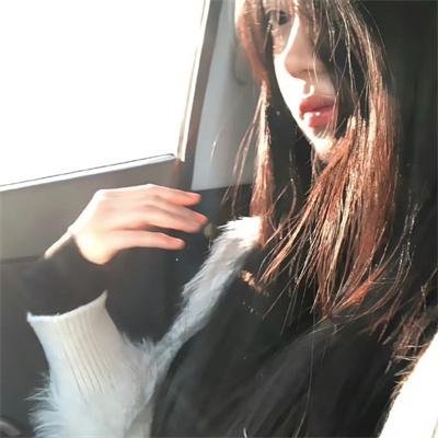 金雉鸡